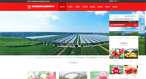 企業(yè)網(wǎng)站、程序軟件App解決方案